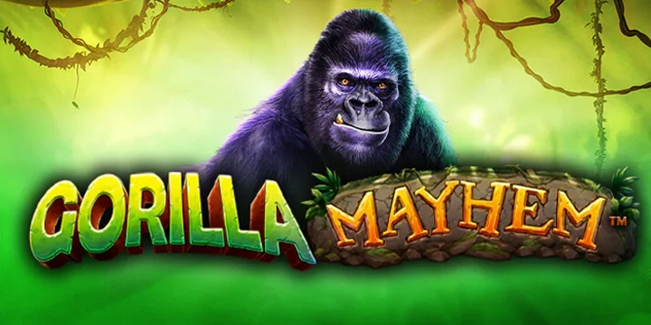 Gorilla Mayhem: Petualangan di Hutan Rimba yang Penuh Kejutan