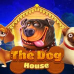 The Dog House: Sensasi Seru Bersama Si Anjing Menggemaskan