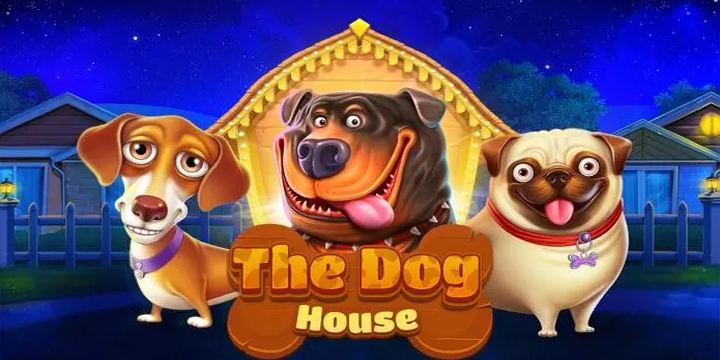 The Dog House: Sensasi Seru Bersama Si Anjing Menggemaskan
